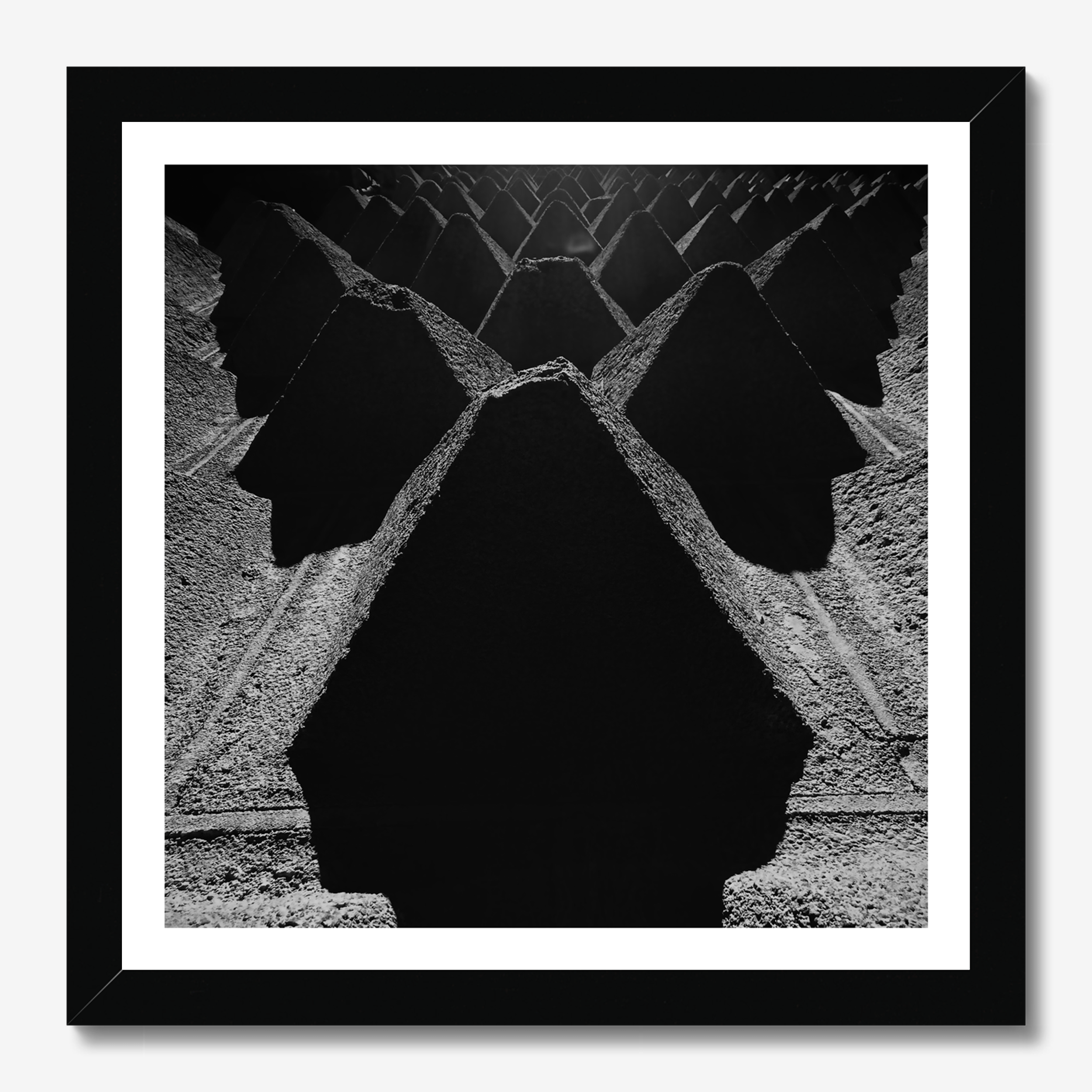 Square photography framed wall art titled 'In Dark Trees' by Sunday Morning. Premium Giclée print.