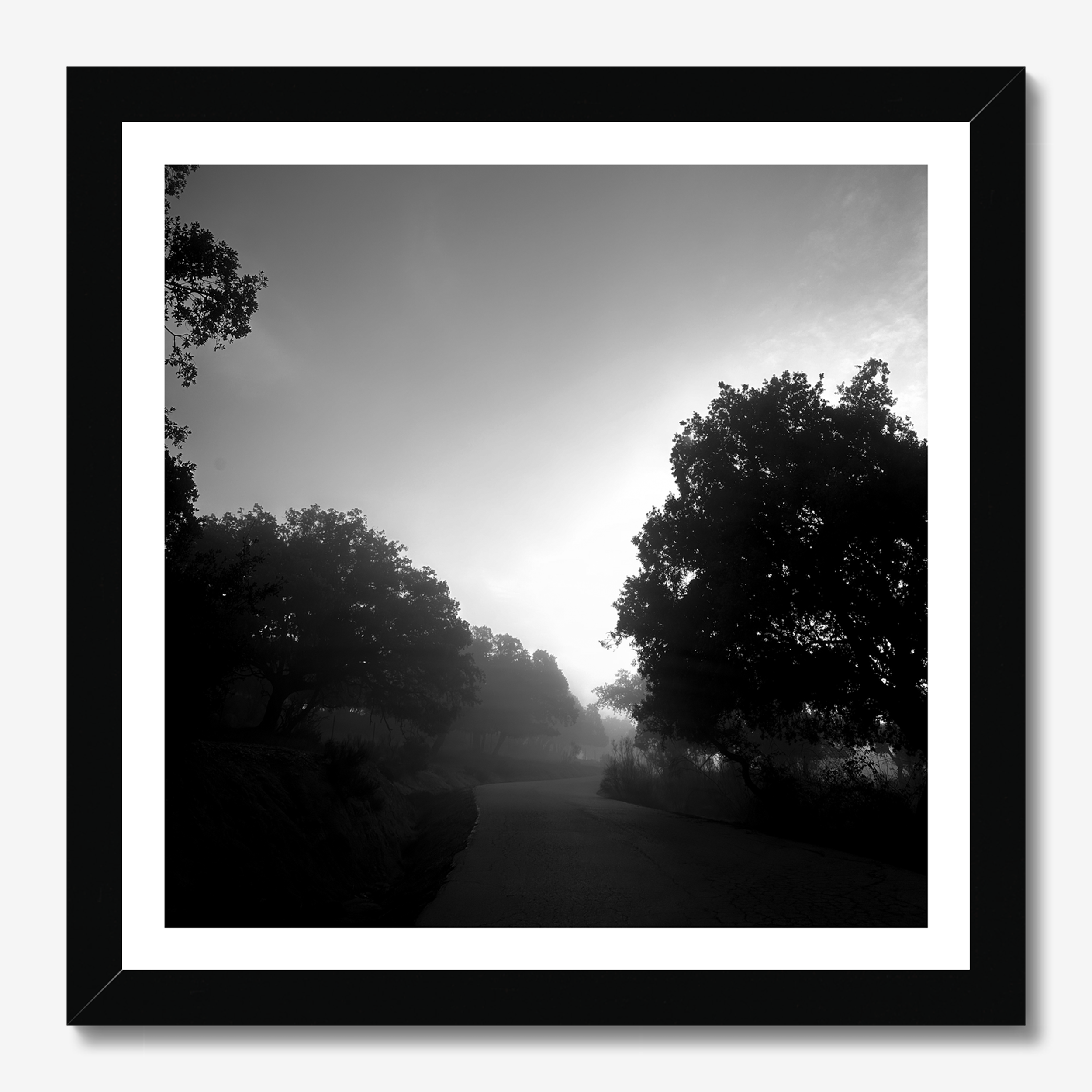 Square photography framed wall art titled 'Nature 1' by Sunday Morning. Premium Giclée print.