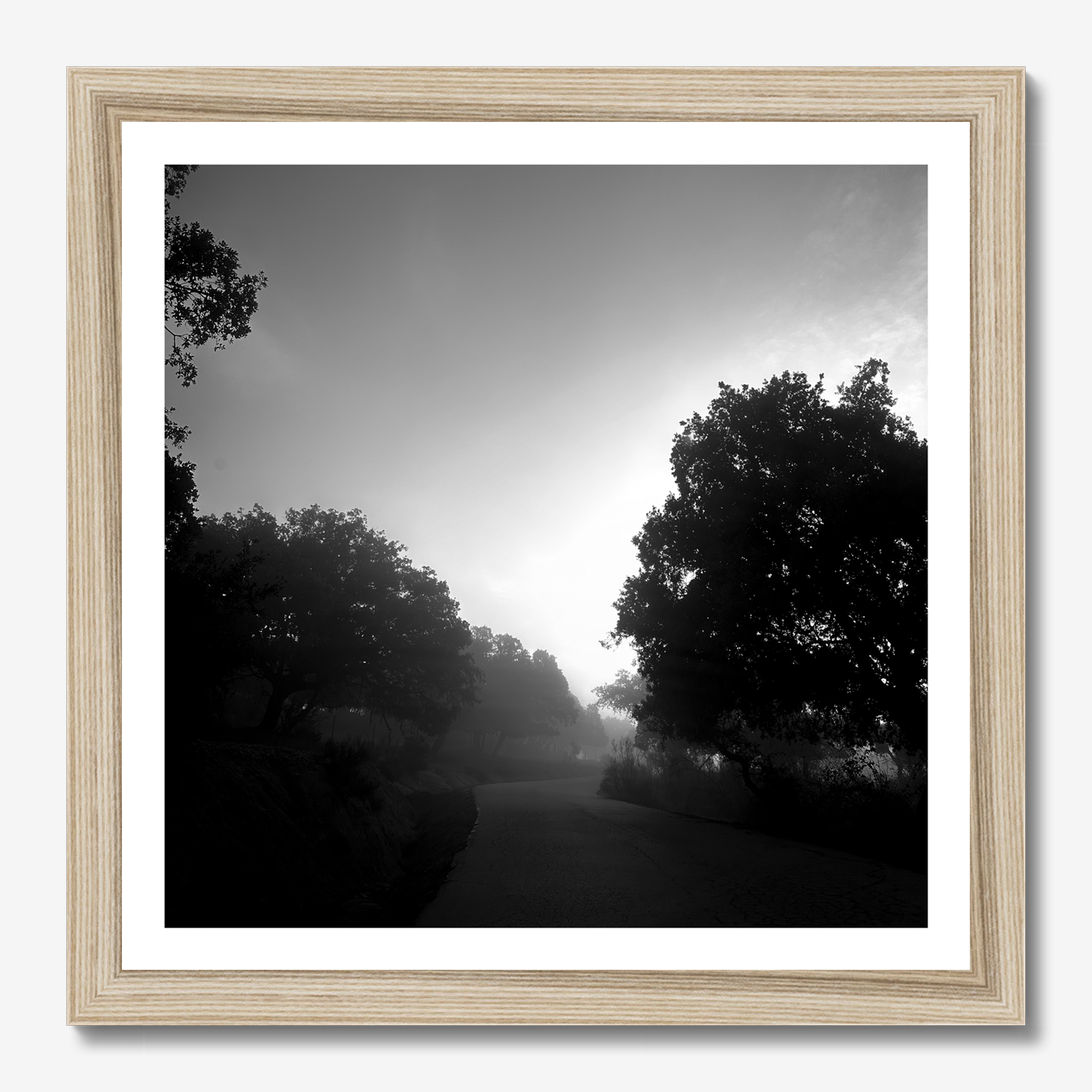 Square photography framed wall art titled 'Nature 1' by Sunday Morning. Premium Giclée print.