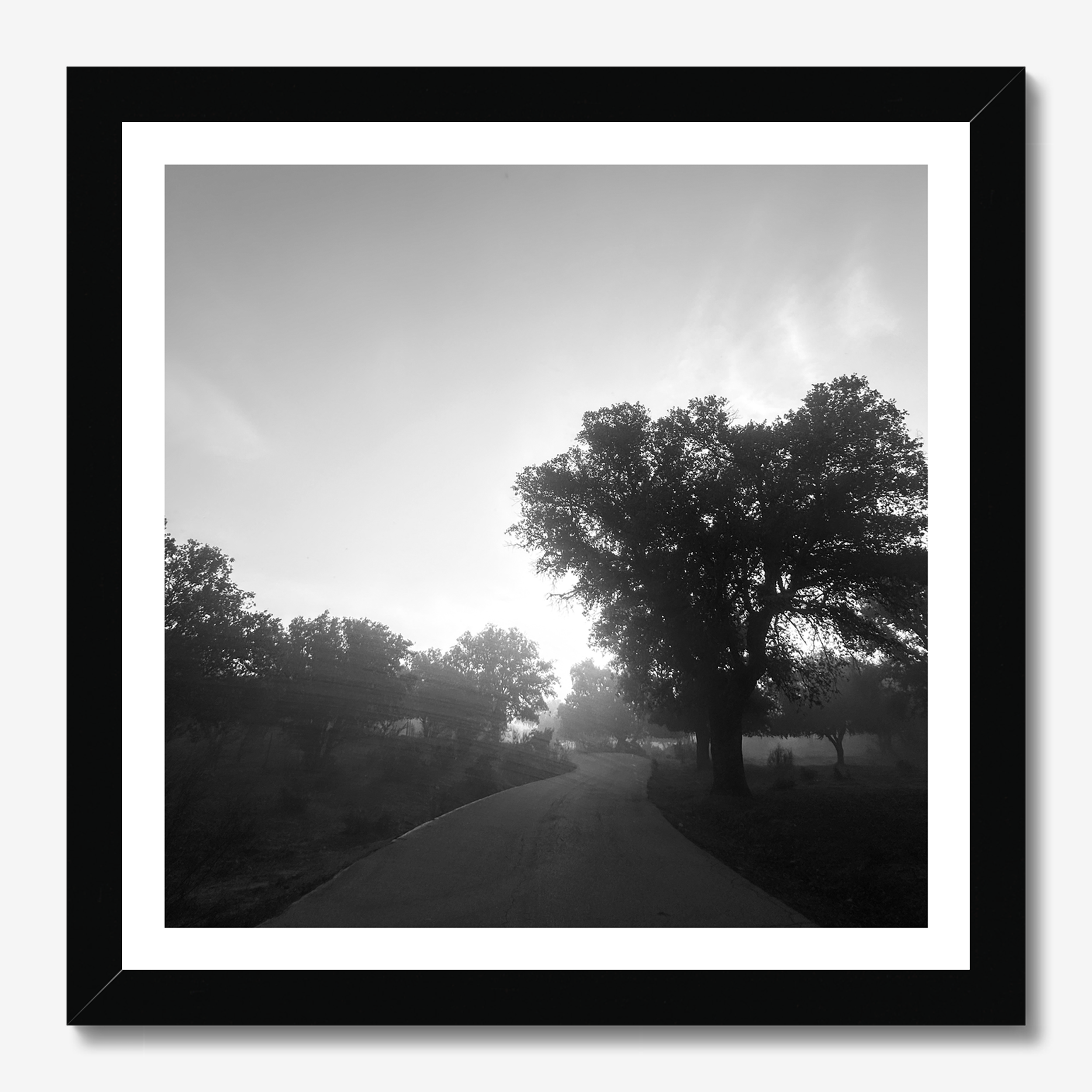 Square photography framed wall art titled 'Nature 2' by Sunday Morning. Premium Giclée print.