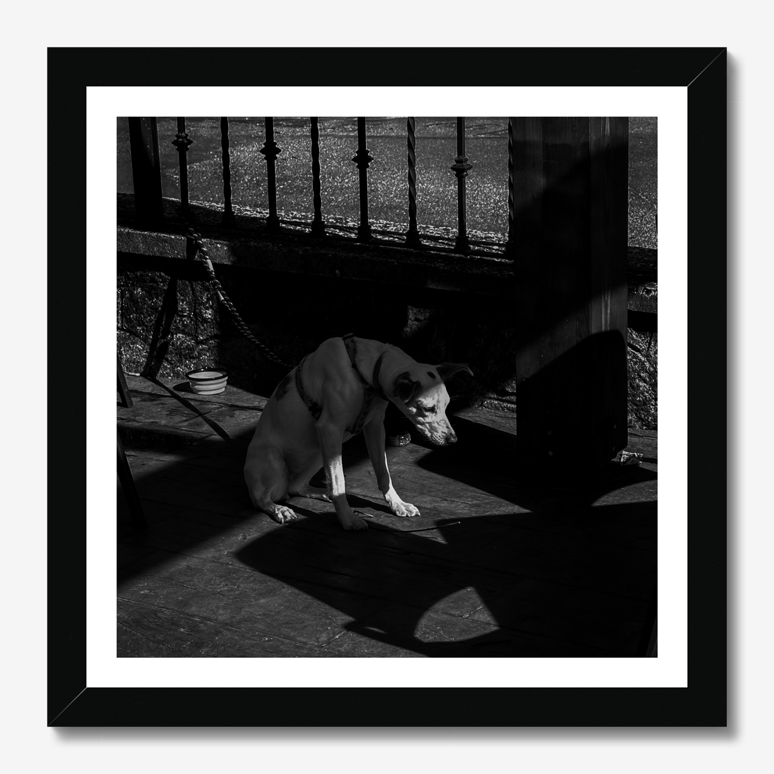 Square photography framed wall art titled 'Sad Boi' by Sunday Morning. Premium Giclée print.