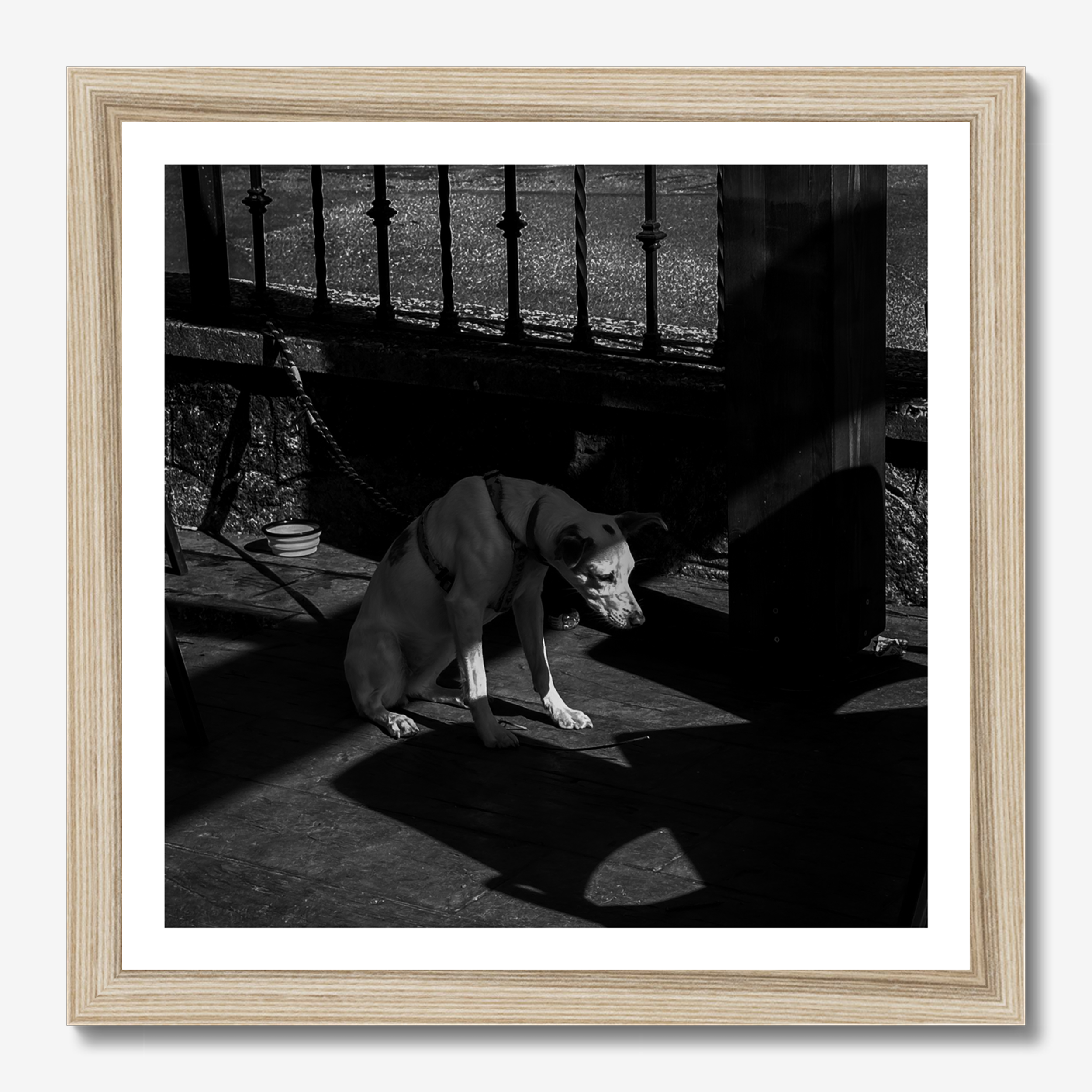 Square photography framed wall art titled 'Sad Boi' by Sunday Morning. Premium Giclée print.
