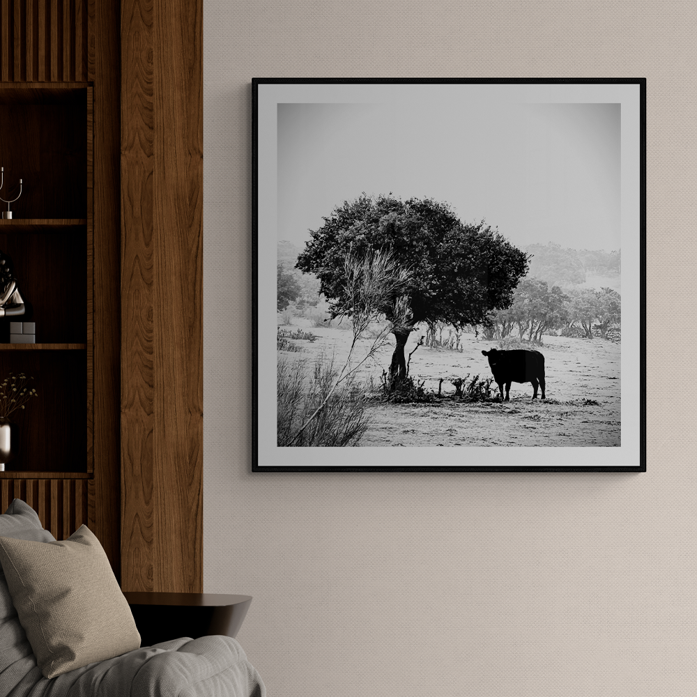 Iberic | Photography Square Wall Art