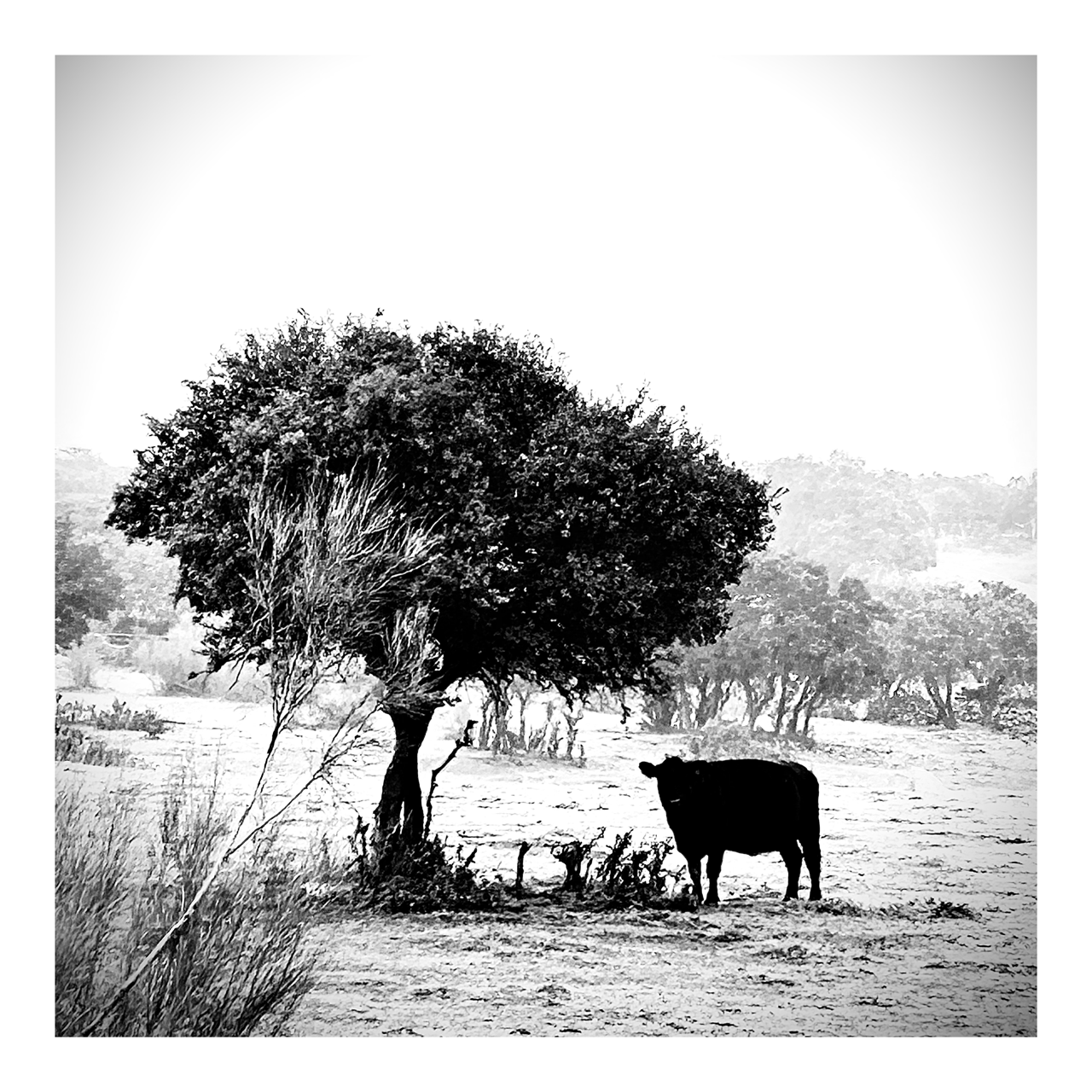 Square photography framed wall art titled 'Iberic' by Sunday Morning. Premium Giclée print.