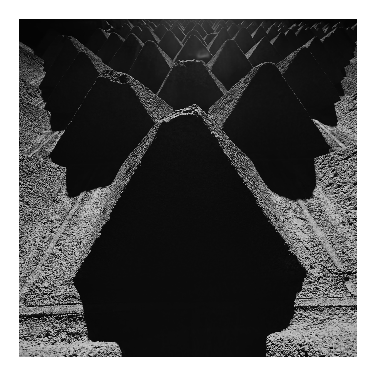 Square photography framed wall art titled 'In Dark Trees' by Sunday Morning. Premium Giclée print.