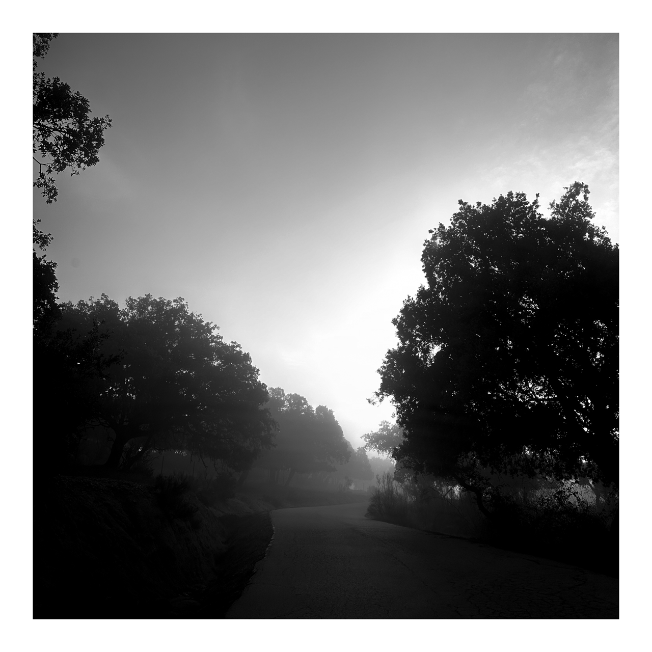 Square photography framed wall art titled 'Nature 1' by Sunday Morning. Premium Giclée print.
