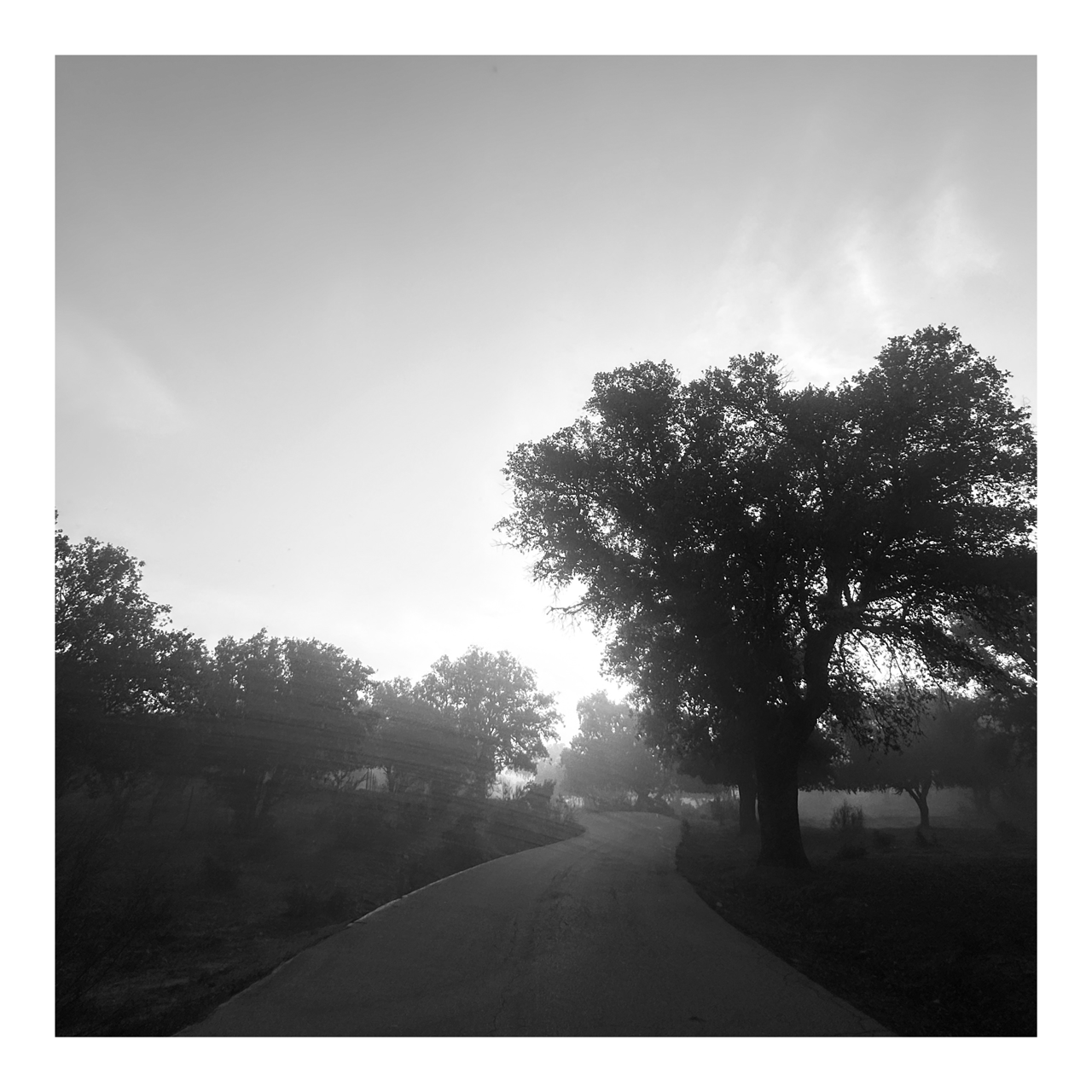 Square photography framed wall art titled 'Nature 2' by Sunday Morning. Premium Giclée print.