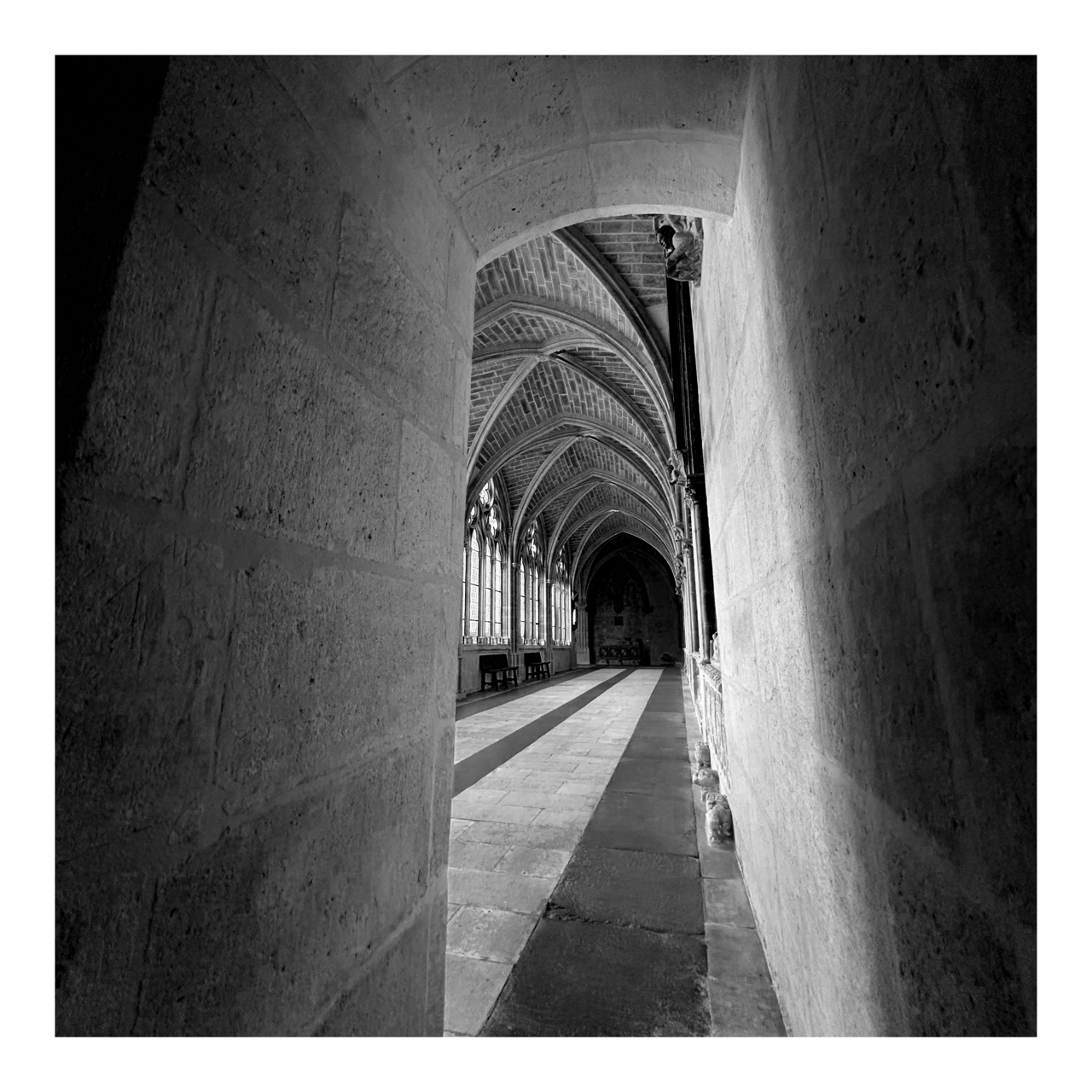 Square photography framed wall art titled 'Peek' by Sunday Morning. Premium Giclée print.