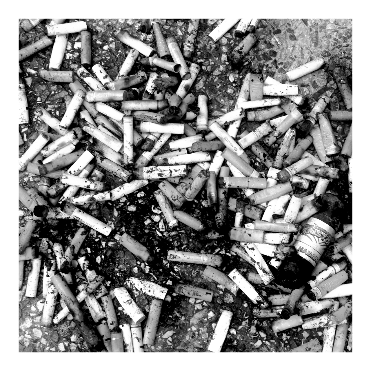 Square photography framed wall art titled 'Ruff Night' by Sunday Morning. Premium Giclée print.