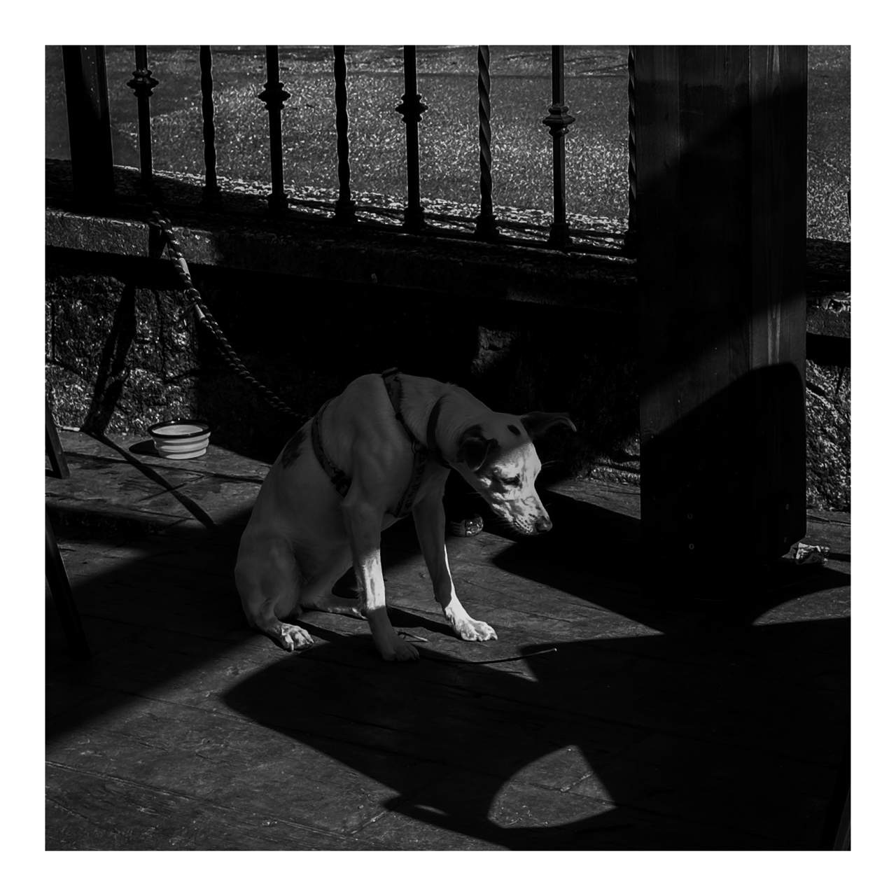 Square photography framed wall art titled 'Sad Boi' by Sunday Morning. Premium Giclée print.